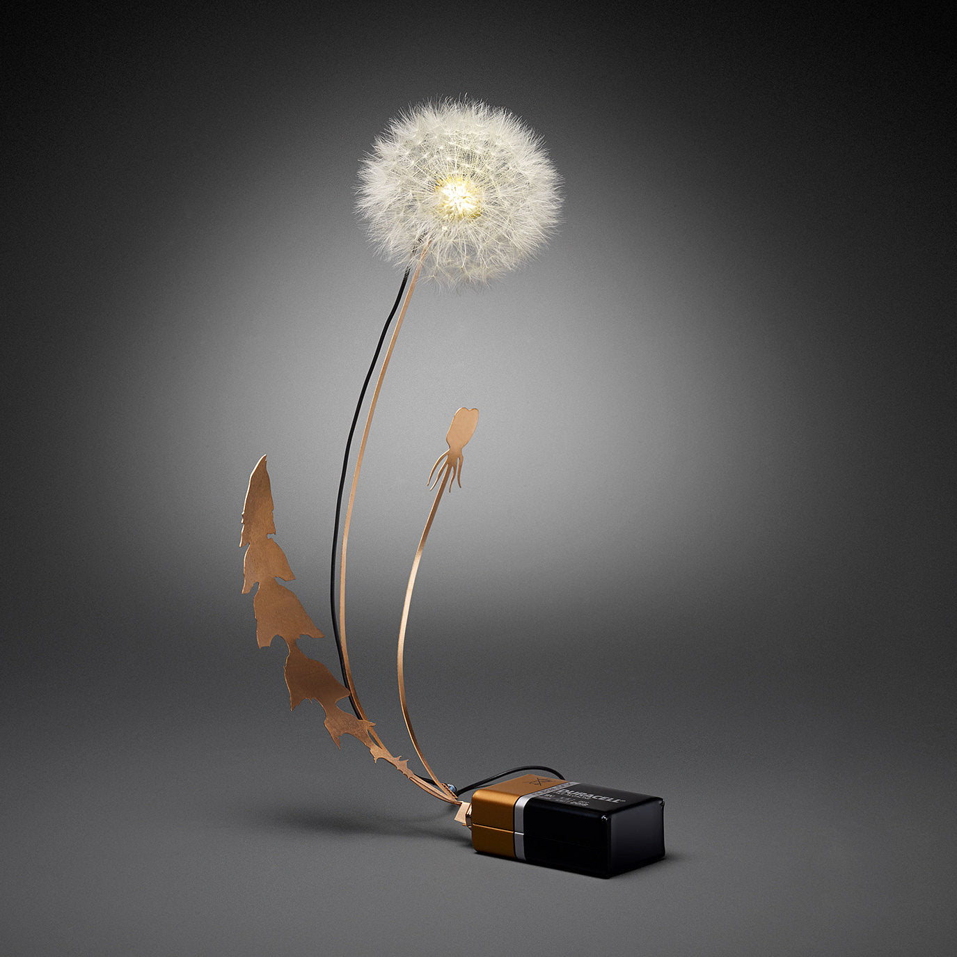 Dandelight by Studio Drift